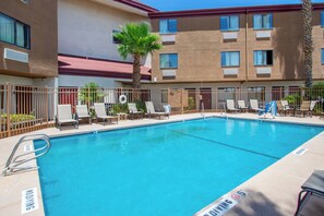 A swimming pool with lounge chairs and a palm tree. - Red Roof Inn El Paso West (El Paso)