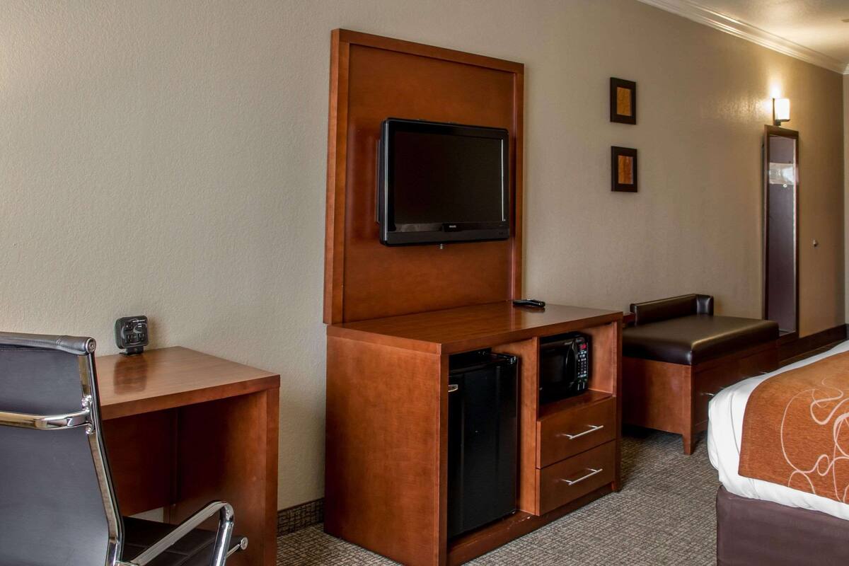 A hotel room with a bed, a desk with a television, a refrigerator, a chair, and a bench.