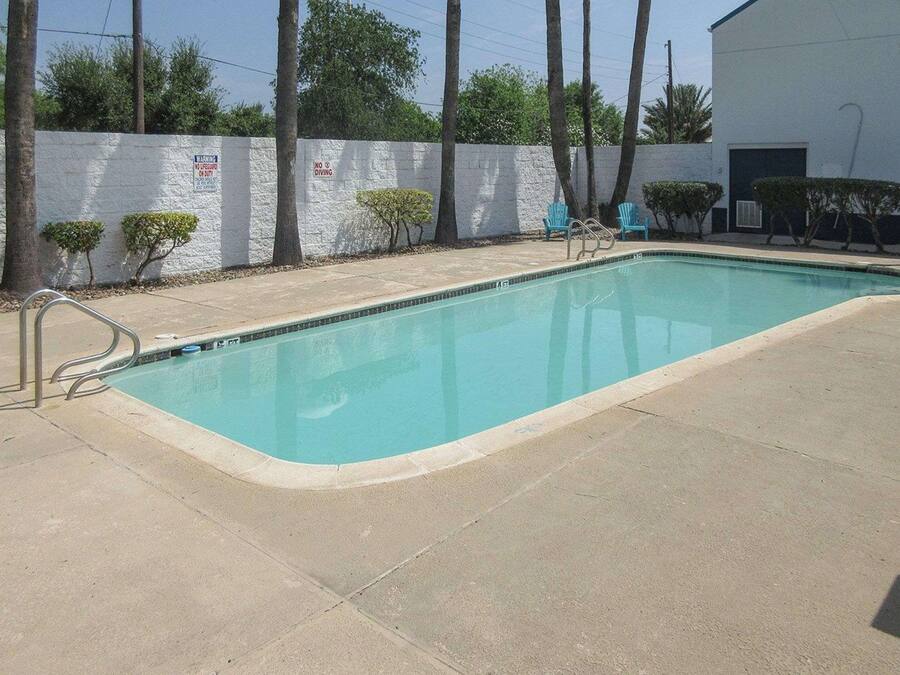 A rectangular swimming pool with a metal ladder on one side, surrounded by a concrete deck. There are two small bushes and a white wall with warning signs.