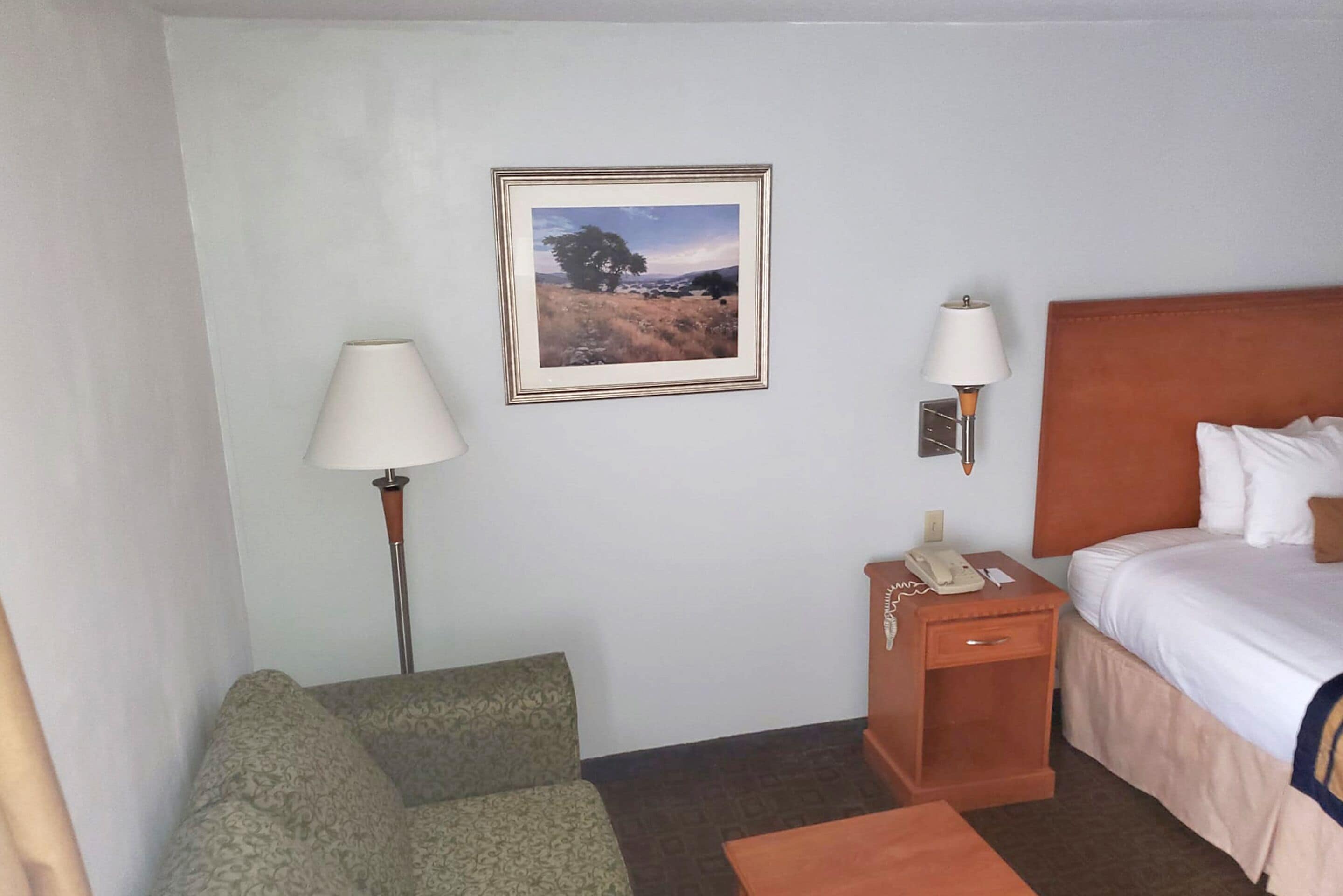 Une chambre d’hôtel avec un lit, une table de chevet avec une lampe, un canapé et un tableau encadré au mur.