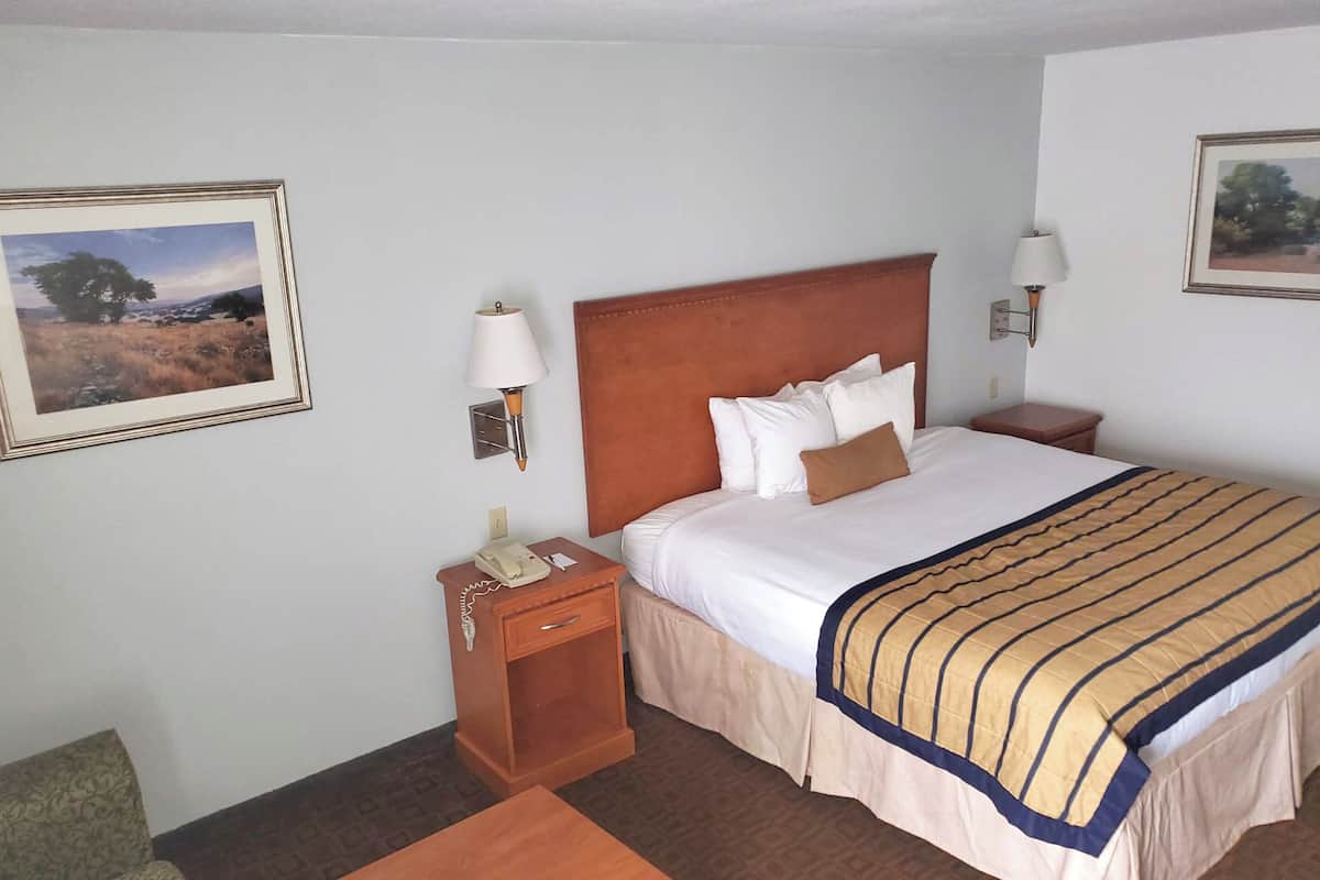 A hotel room with a large bed, a nightstand with a lamp, and a framed picture on the wall.
