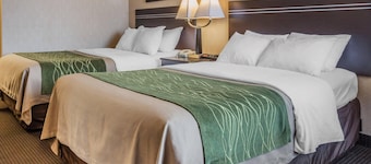 Comfort Inn On the Bay