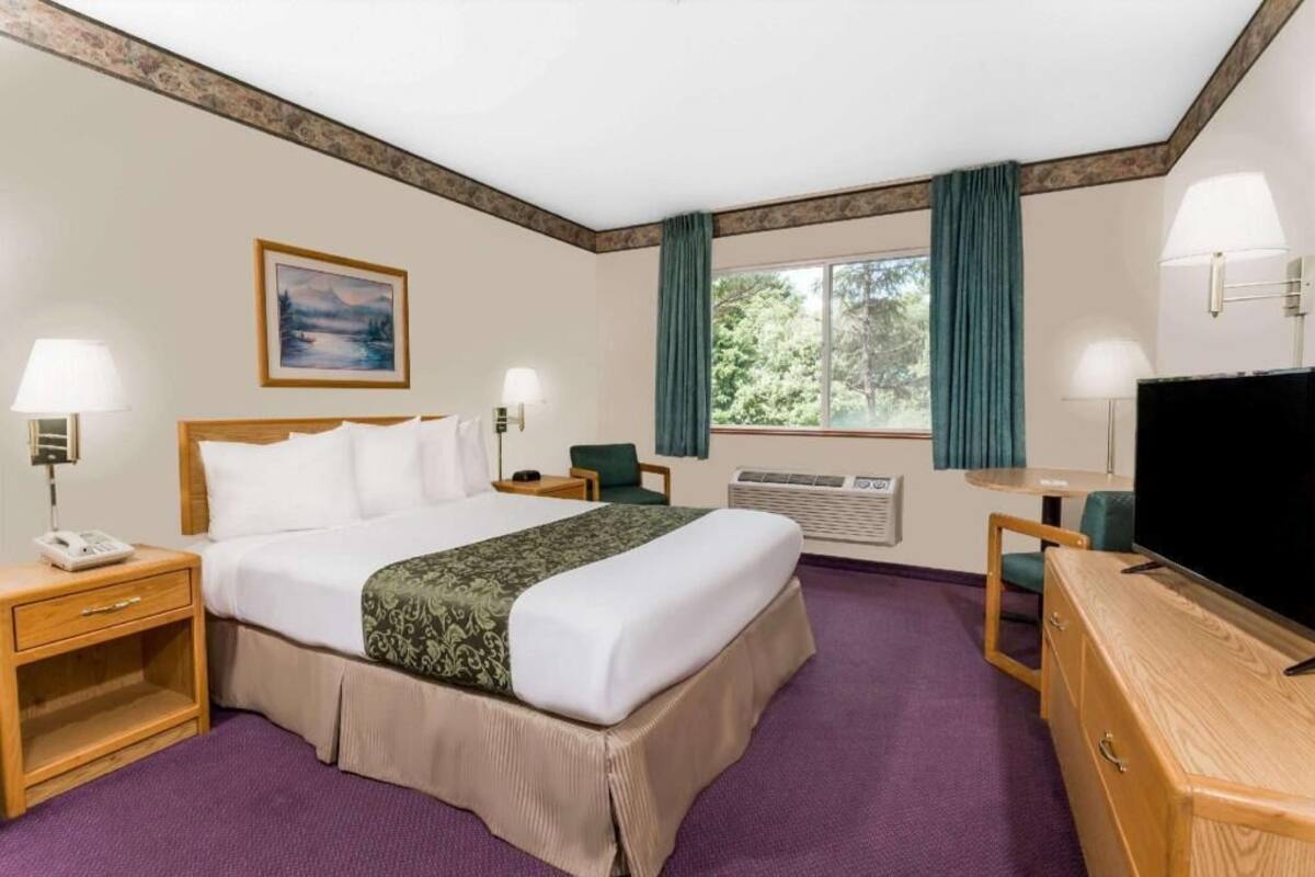 Una habitación de hotel con cama, escritorio, televisión y ventana con cortinas.
