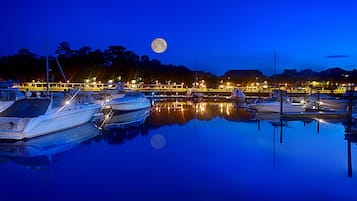 Muelle