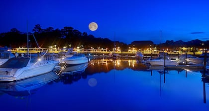 Disney's Hilton Head Island Resort
