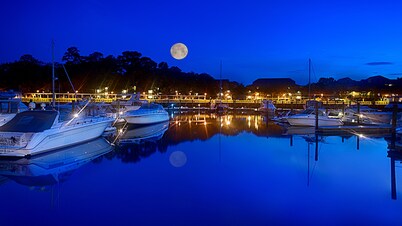 Disney's Hilton Head Island Resort