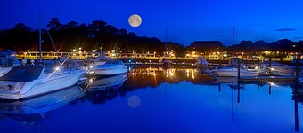Disney's Hilton Head Island Resort