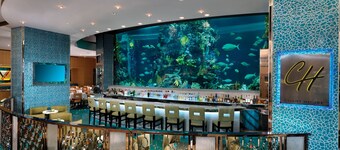 Golden Nugget Las Vegas Hotel & Casino