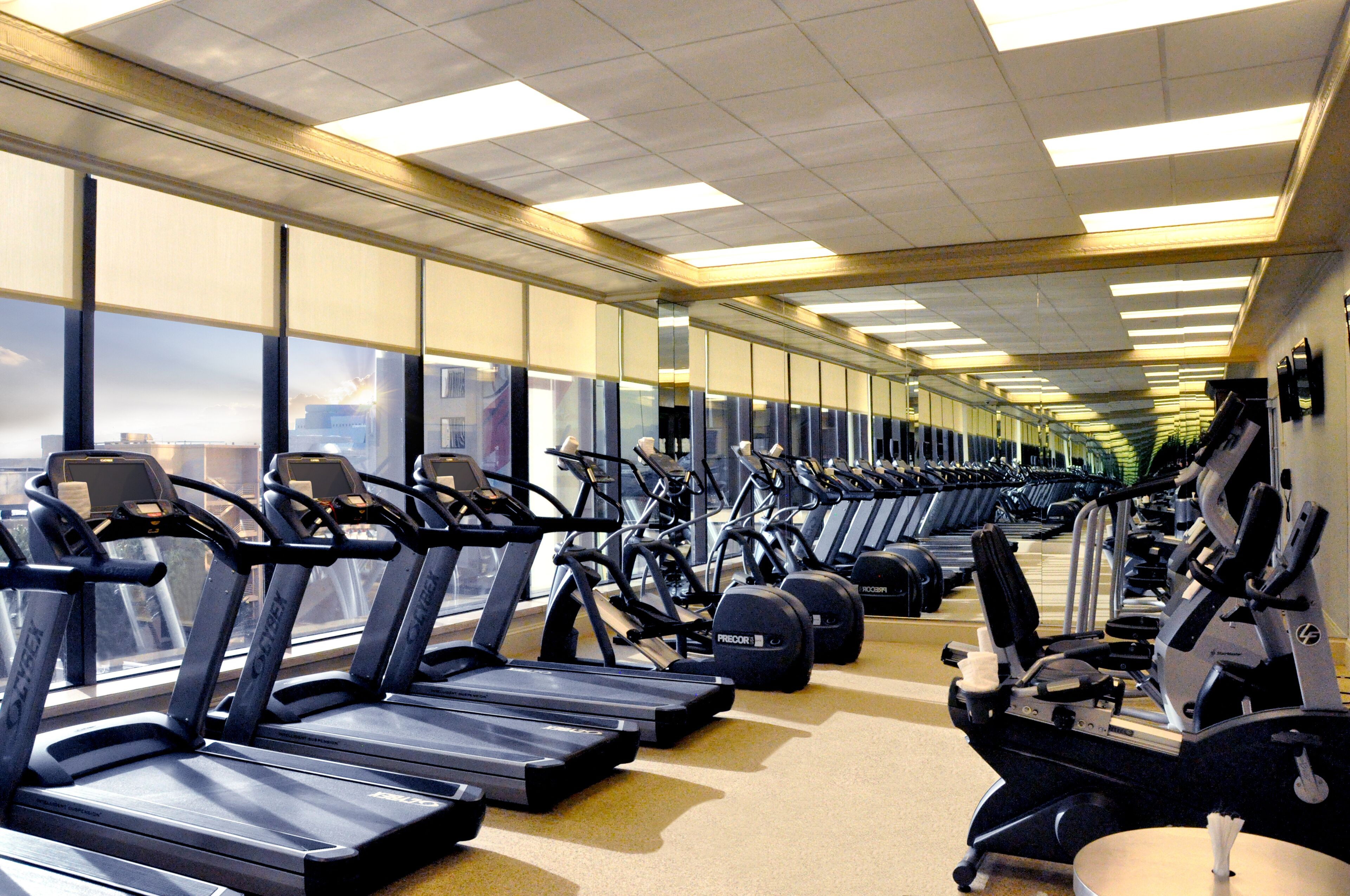 Une salle de sport équipée de nombreux tapis de course et d’appareils d’exercice disposés en rangées.