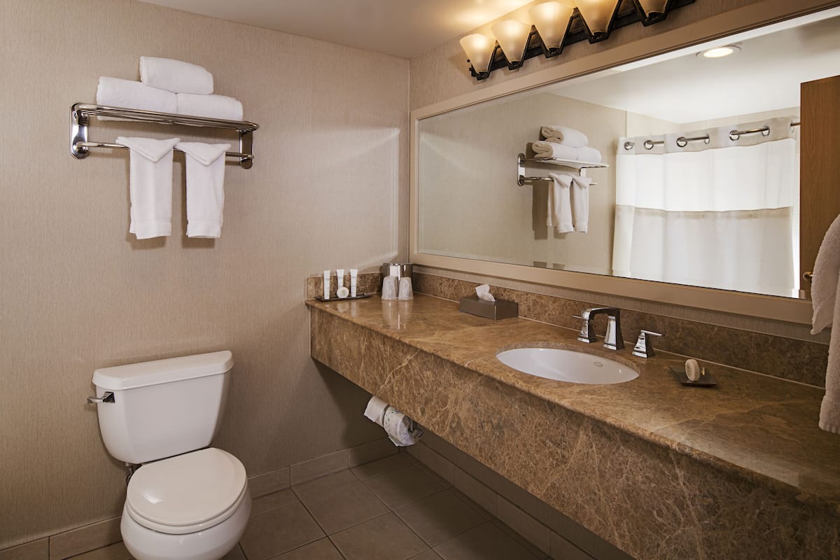 combined shower/bathtub, eco-friendly toiletries, hair dryer, towels