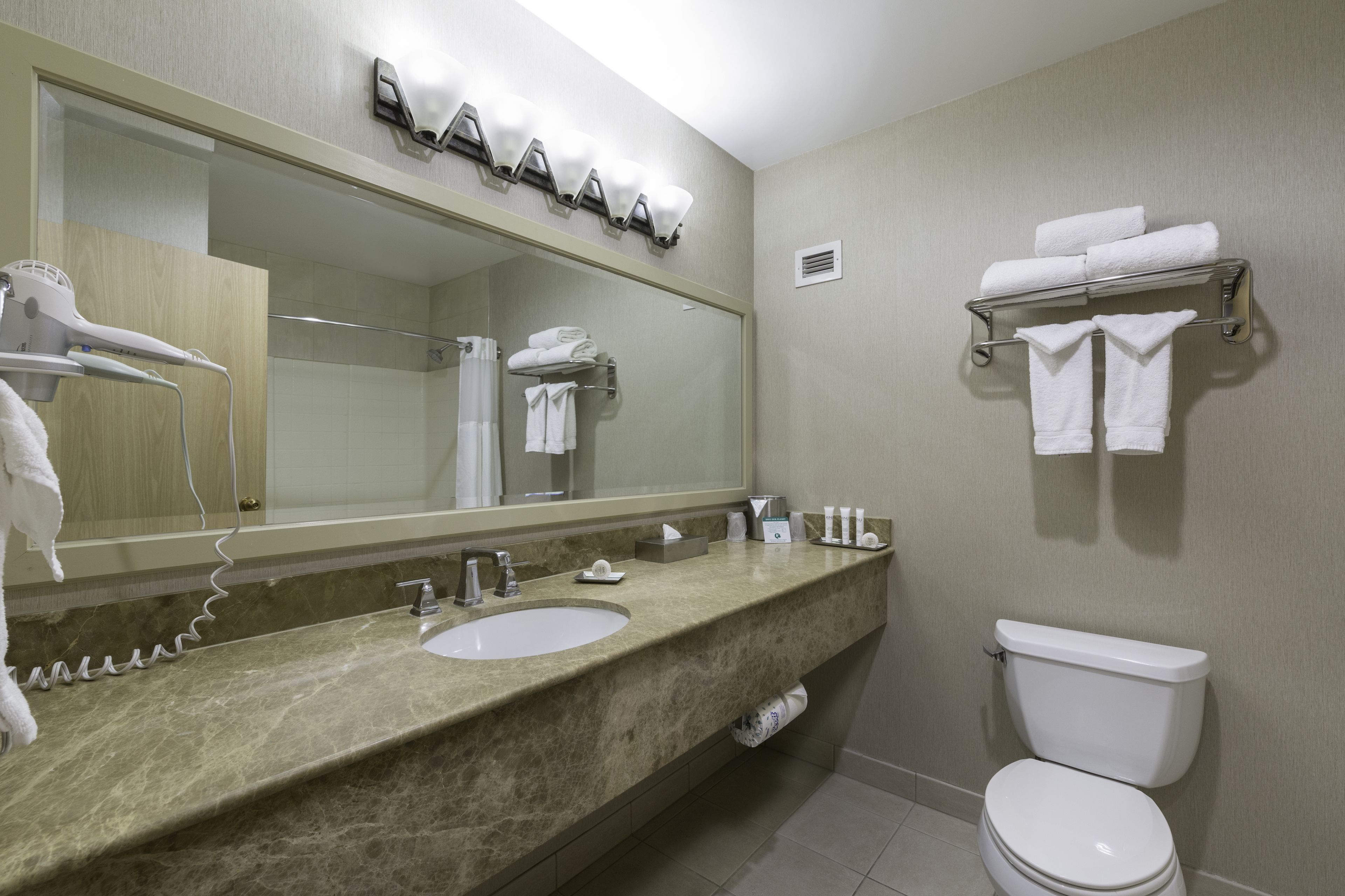 combined shower/bathtub, eco-friendly toiletries, hair dryer, towels