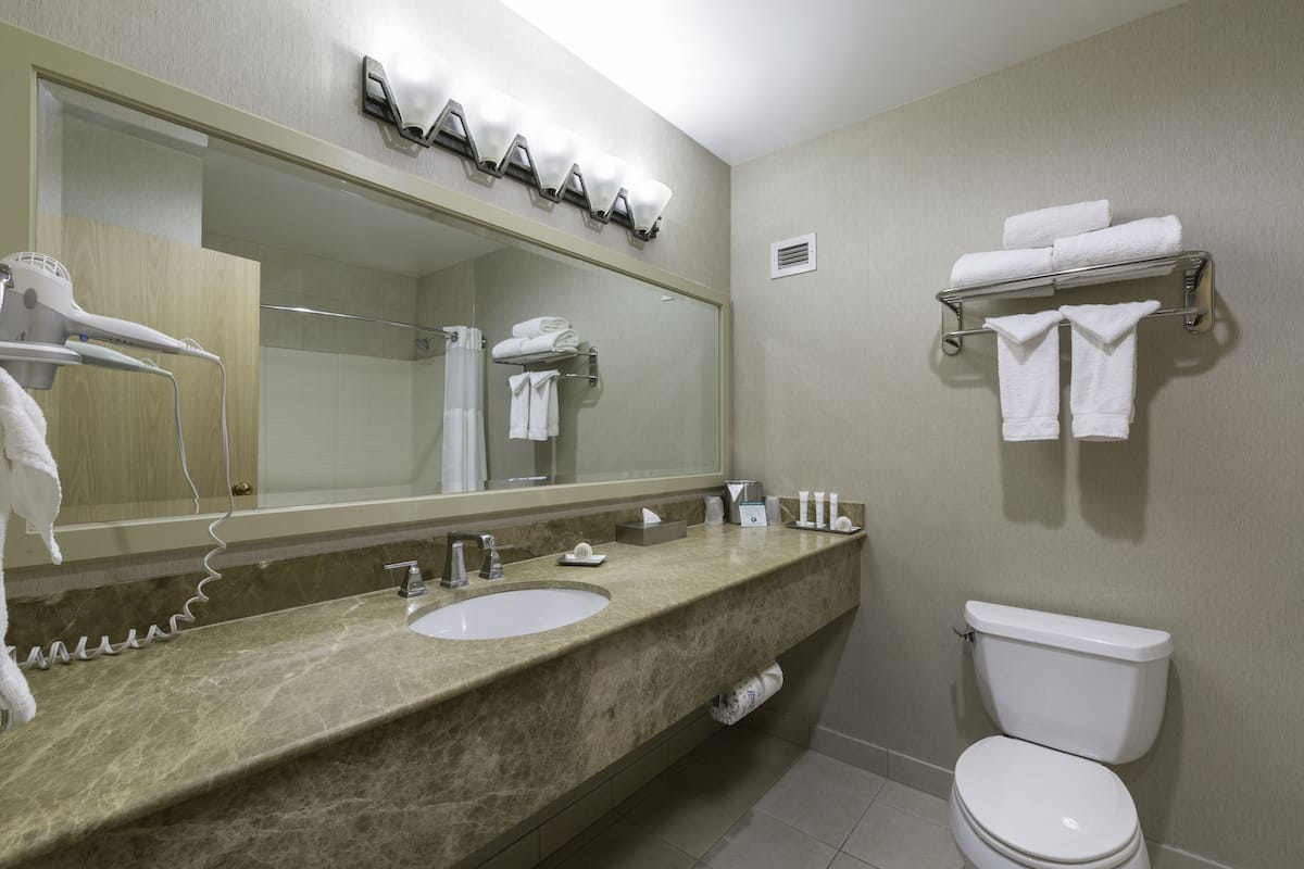 combined shower/bathtub, eco-friendly toiletries, hair dryer, towels