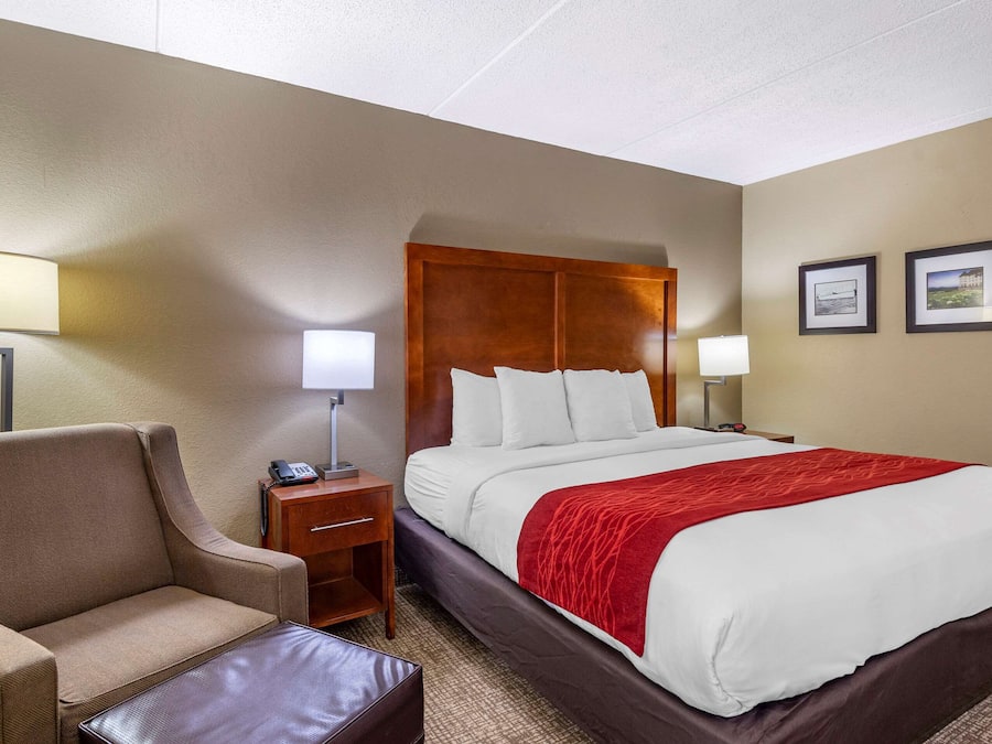A hotel room with a large bed, a chair, a nightstand with a lamp, and two framed pictures on the wall.