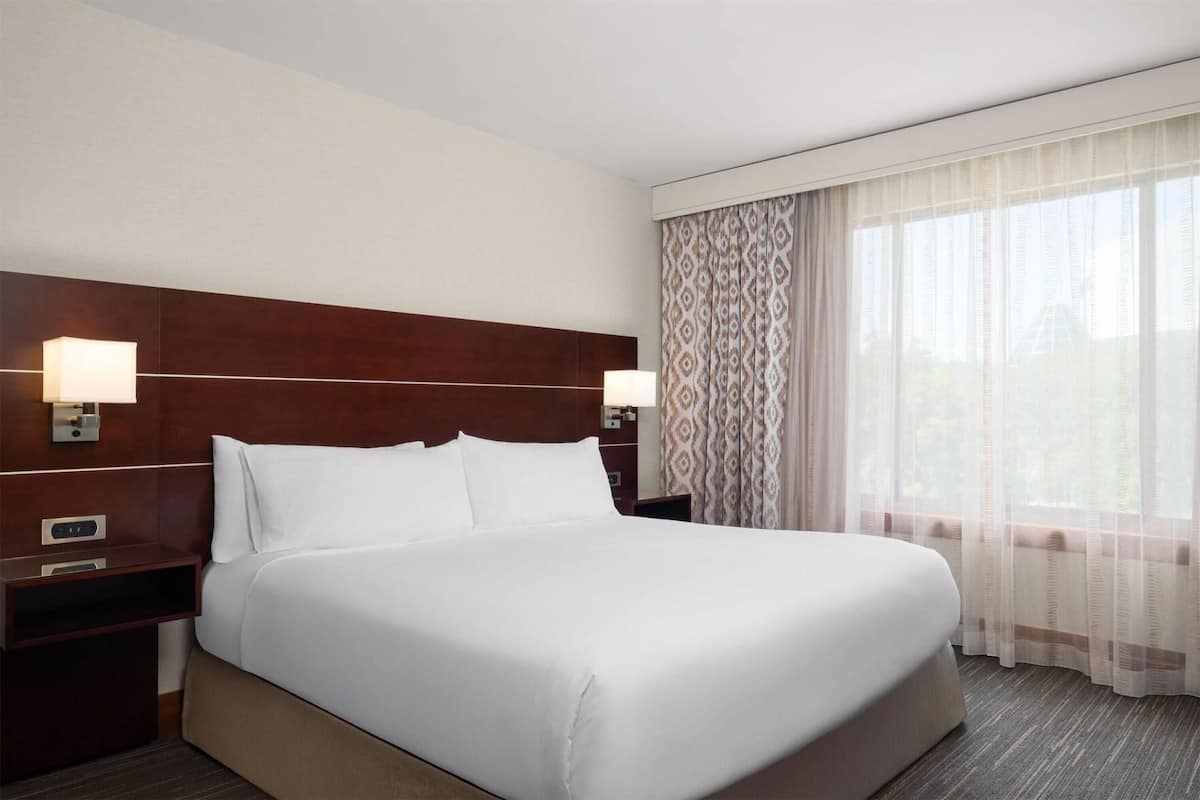Premium bedding, down comforters, pillowtop beds, in-room safe