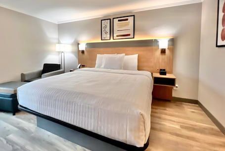 Roupas de cama premium, escrivaninha, cortinas blackout. Hawthorn Extended Stay by Wyndham Jackson