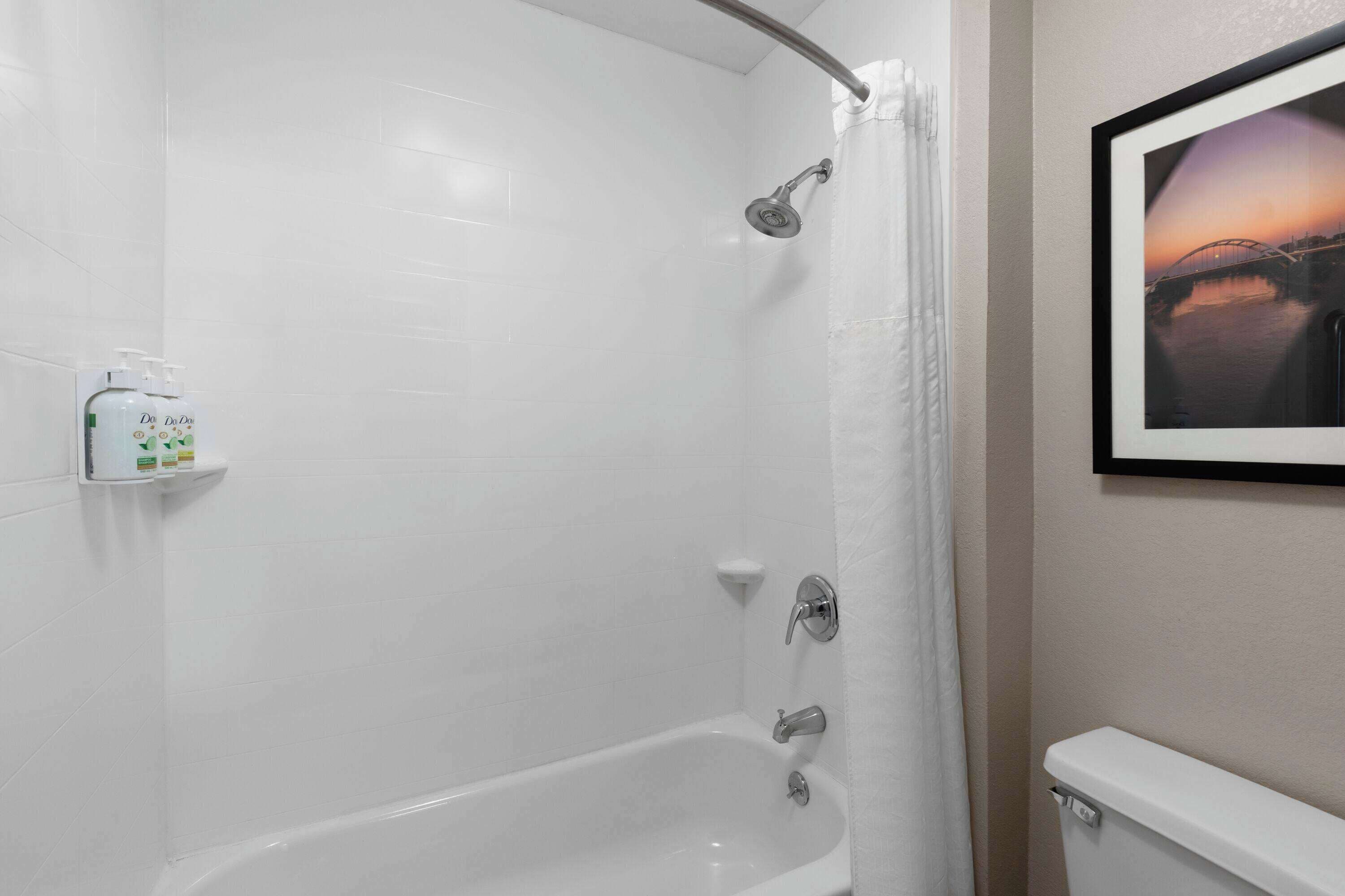 A bathroom with a bathtub, a shower, and a toilet. There is a shelf with toiletries and a framed picture on the wall.