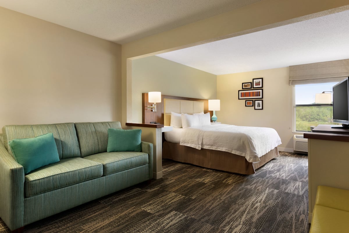 One king study sofabed non smoking | Desk, iron/ironing board, free cribs/infant beds, free WiFi