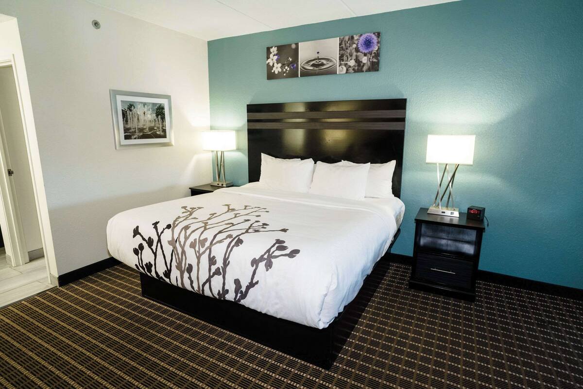 A hotel room with a large bed, two bedside tables, a nightstand, and a wall-mounted artwork.