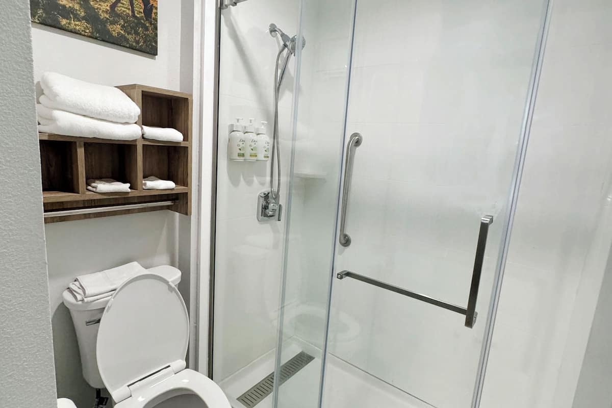 Combined shower/bathtub, free toiletries, hair dryer, towels