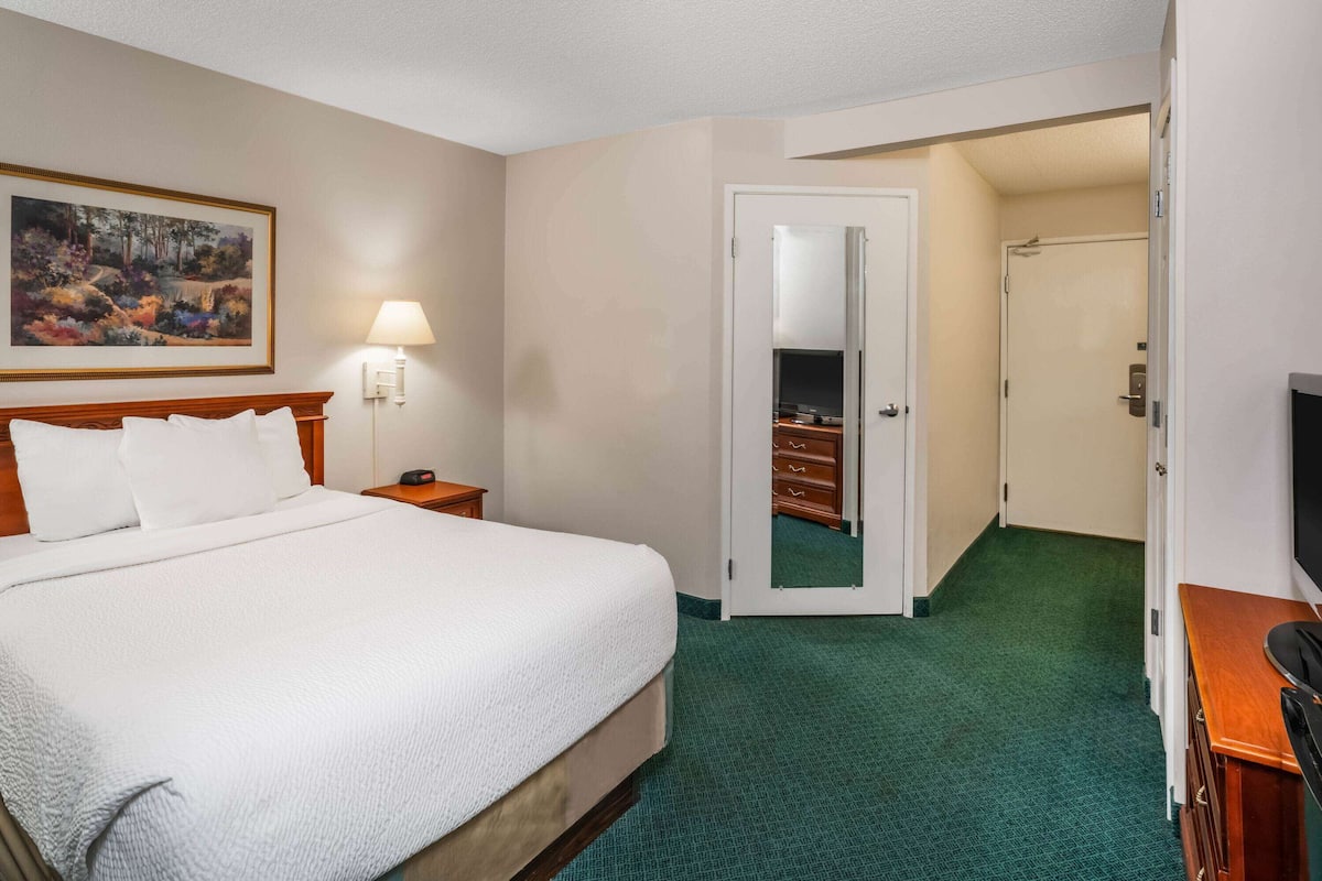 Room, 1 King Bed, Accessible, Non Smoking | Premium bedding, pillow-top beds, desk, blackout curtains