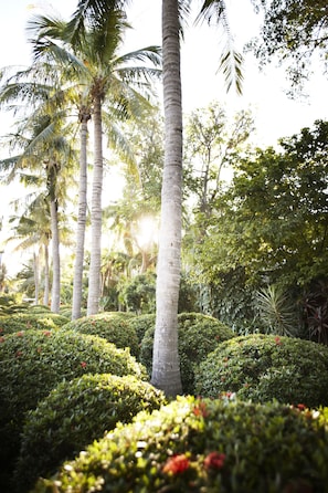 A lush garden with palm trees and manicured bushes. - Cable Beach Club Resort & Spa (Cable Beach)