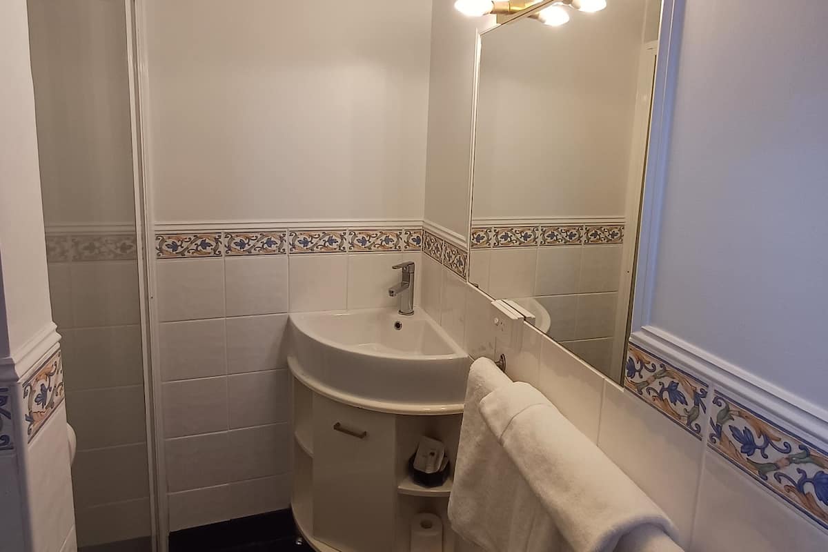 business room, 1 queen bed | bathroom | shower, free toiletries, hair dryer, towels