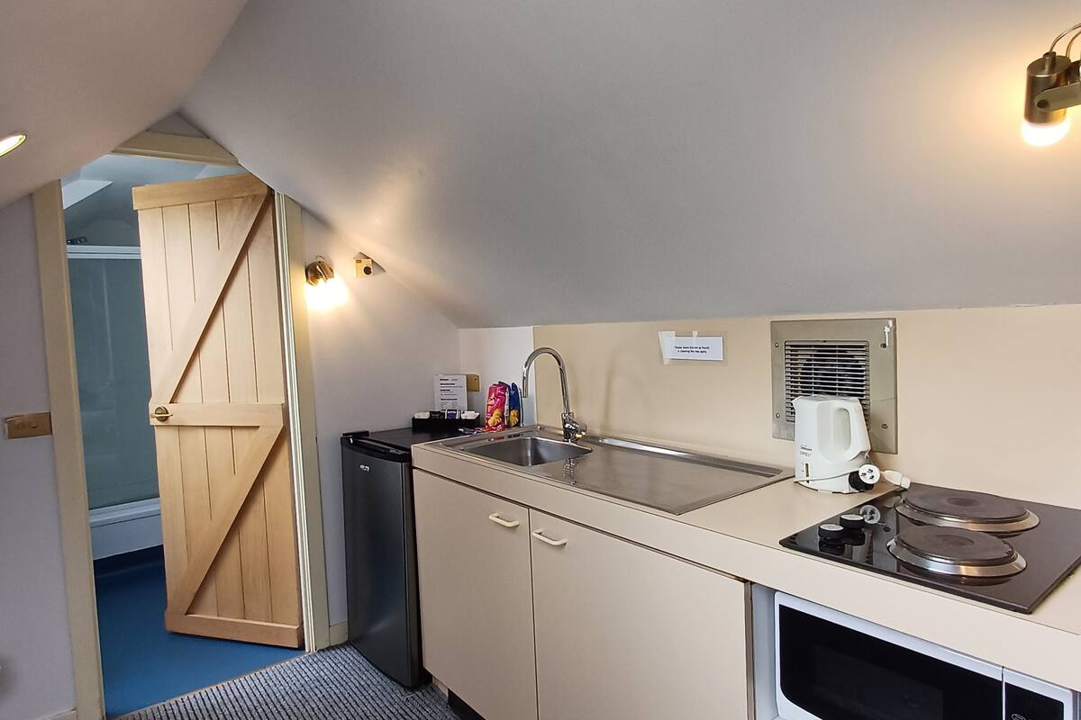 deluxe loft, 1 king bed | private kitchen | fridge, electric kettle