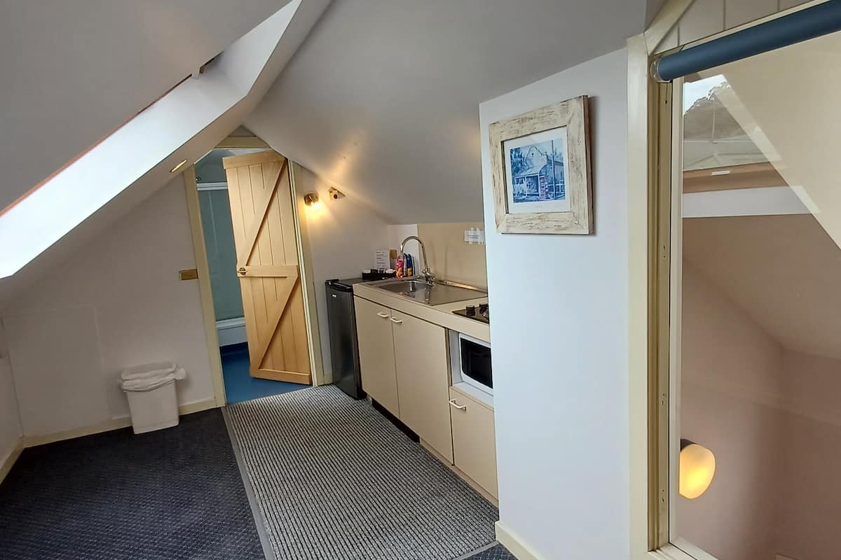 deluxe loft, 1 king bed | private kitchen | fridge, electric kettle