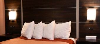 Regency Inn & Suites