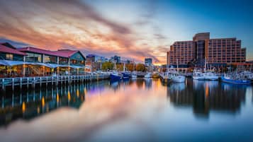 Enjoy waterfront views from the building's contemporary design.