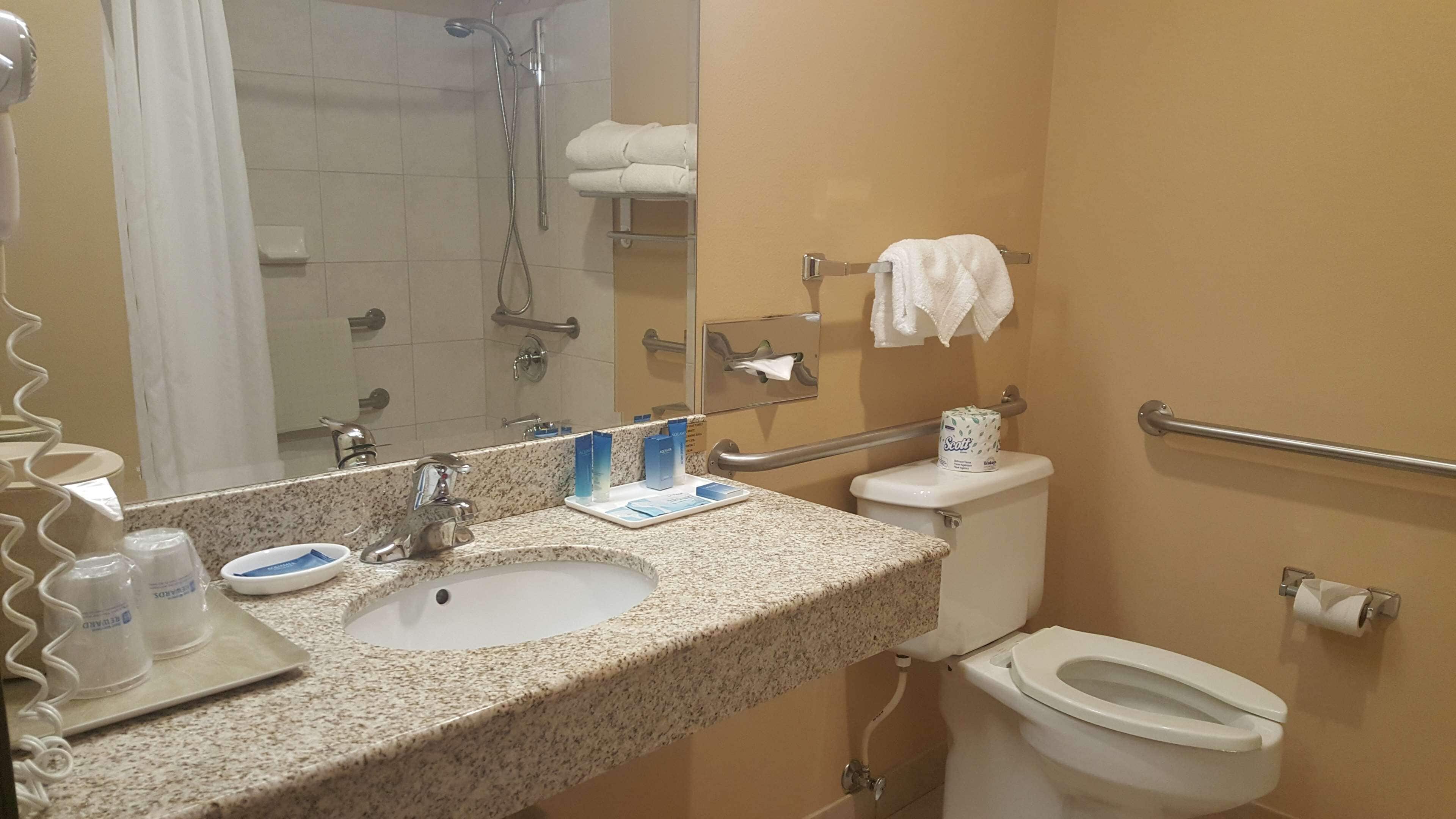 combined shower/bathtub, free toiletries, hair dryer, towels