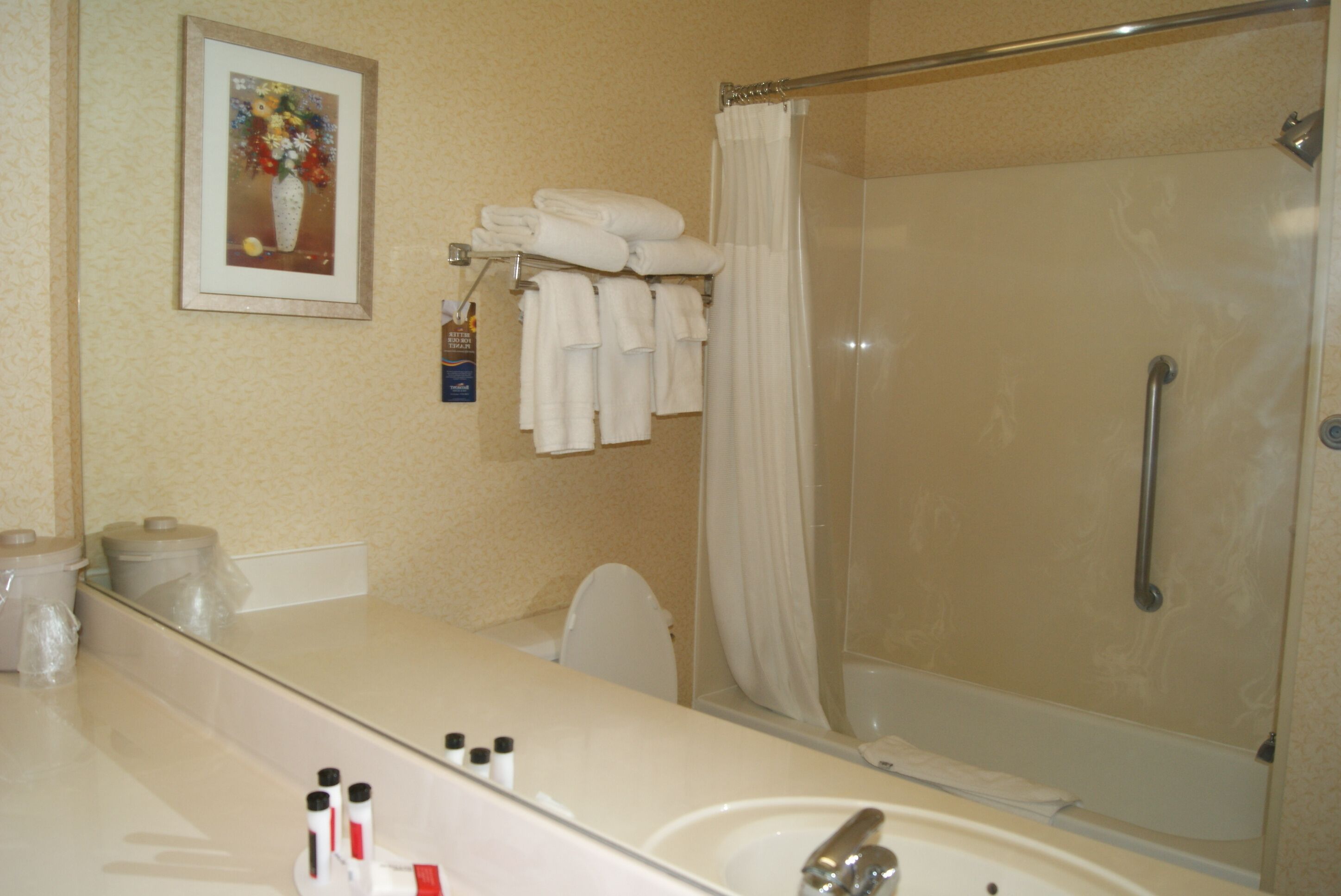 A bathroom with a shower, a sink, a toilet, and a mirror.