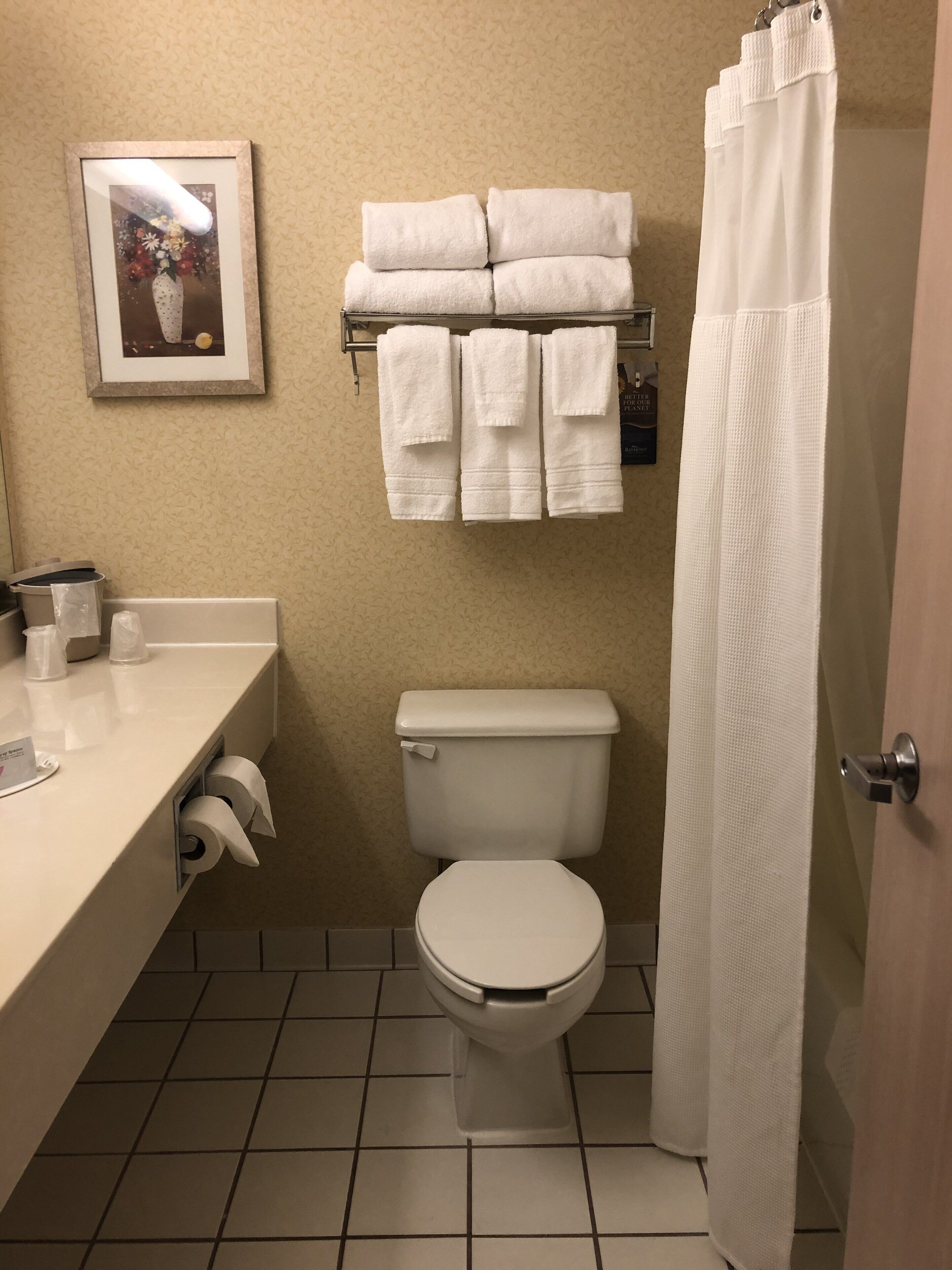 Combined shower/bathtub, free toiletries, hair dryer, towels