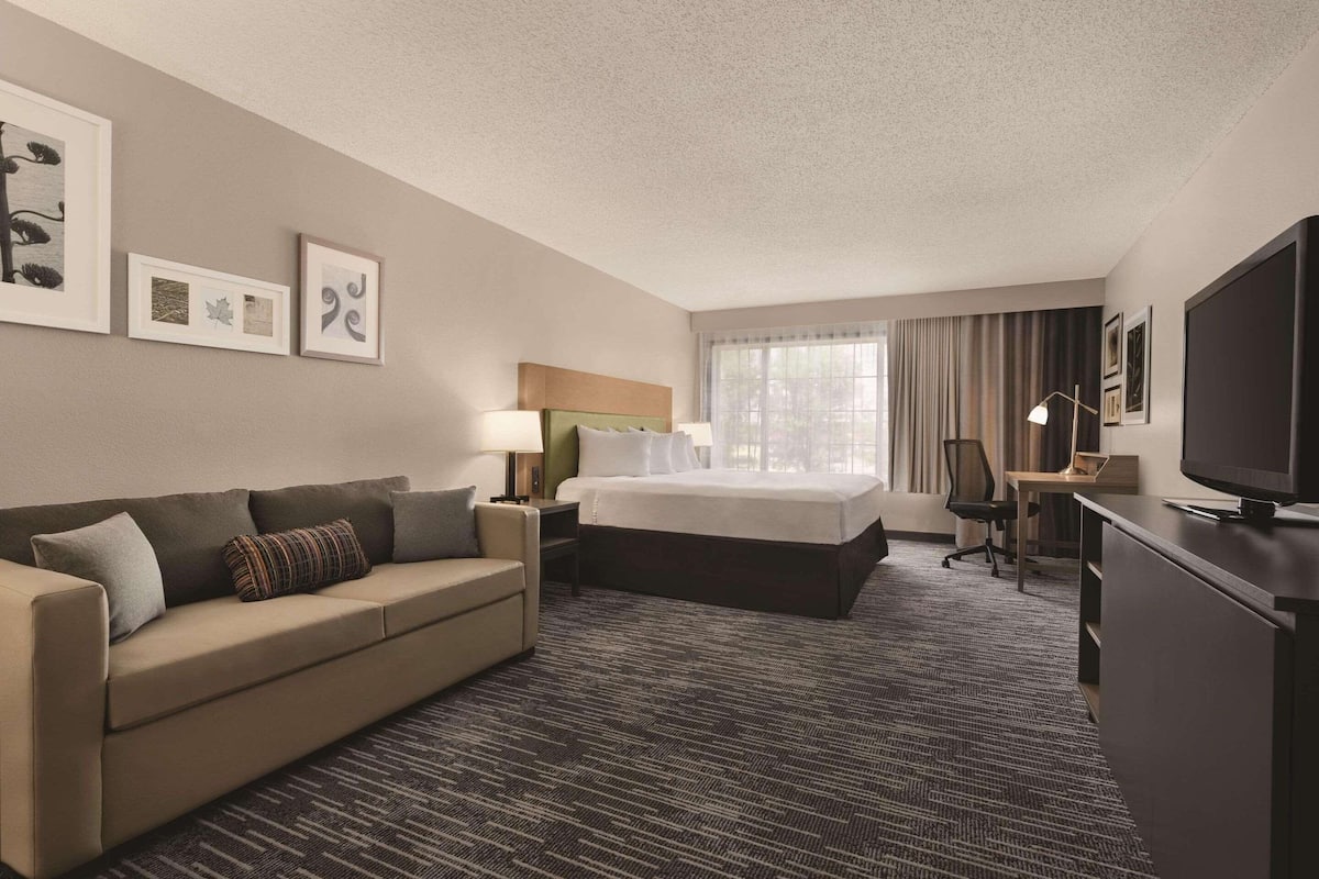 A hotel room with a bed, a sofa, a desk, a television, and framed pictures on the wall.