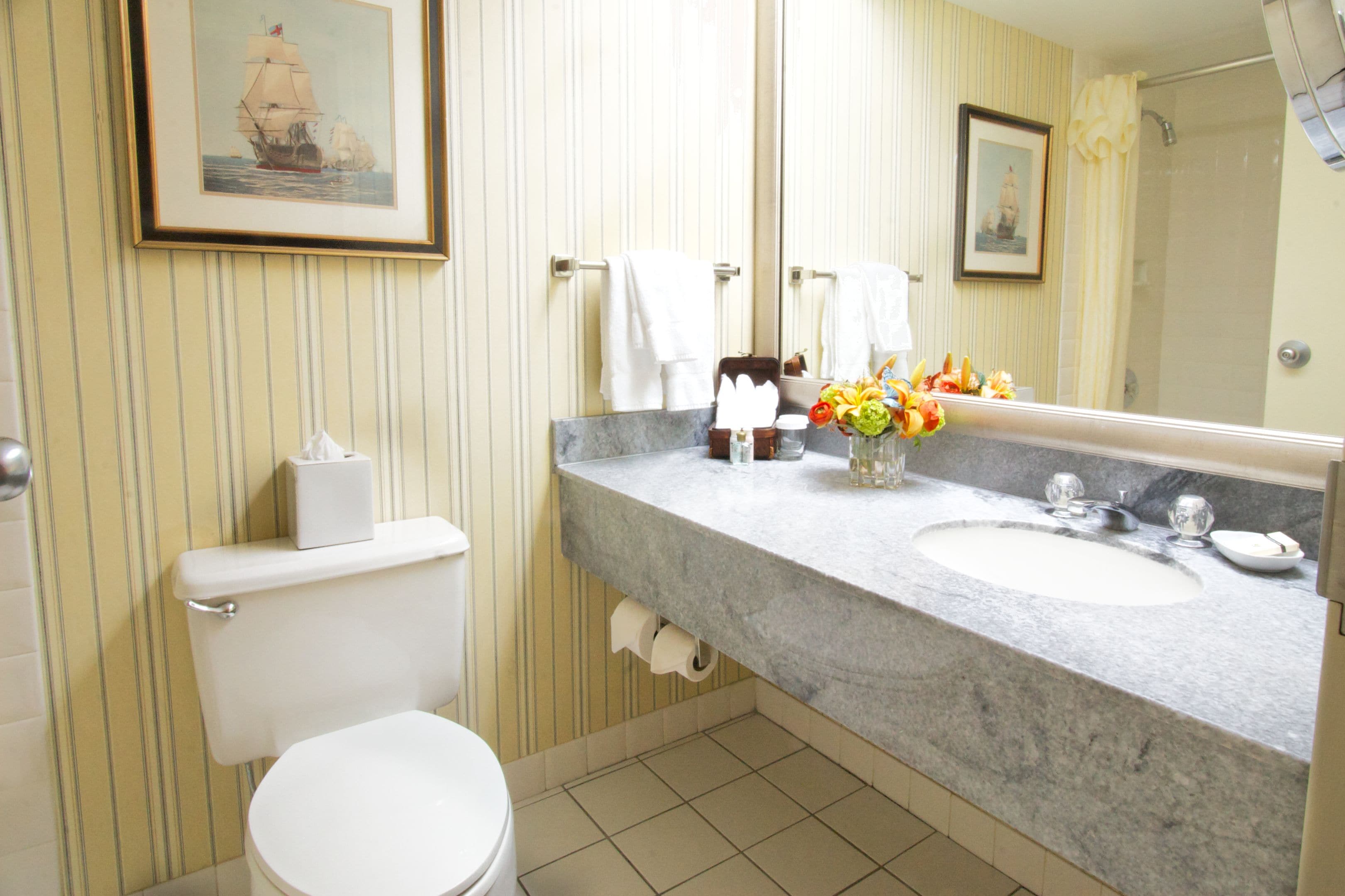 combined shower/bathtub, free toiletries, hair dryer, towels