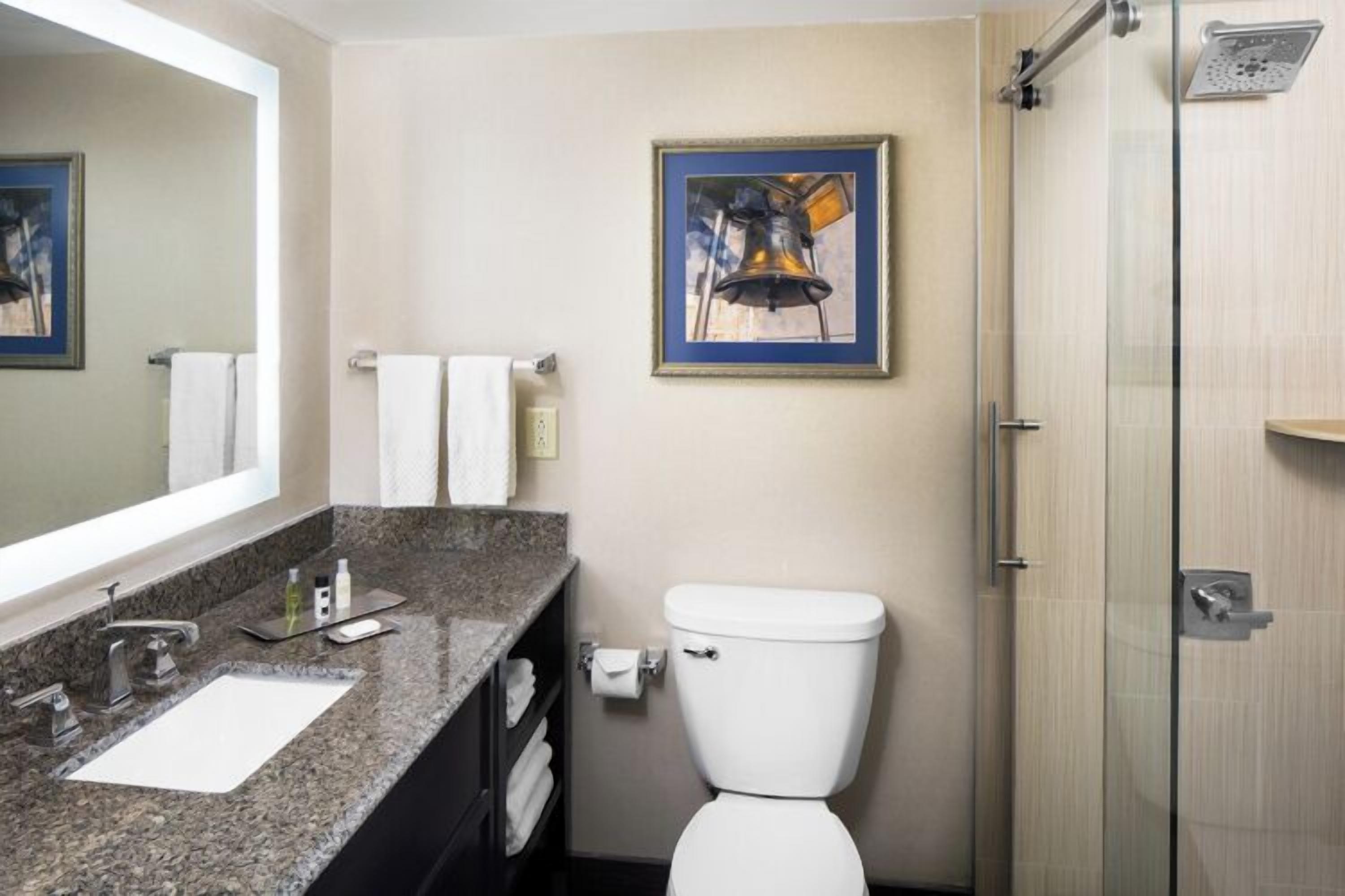 combined shower/bathtub, free toiletries, hair dryer, towels