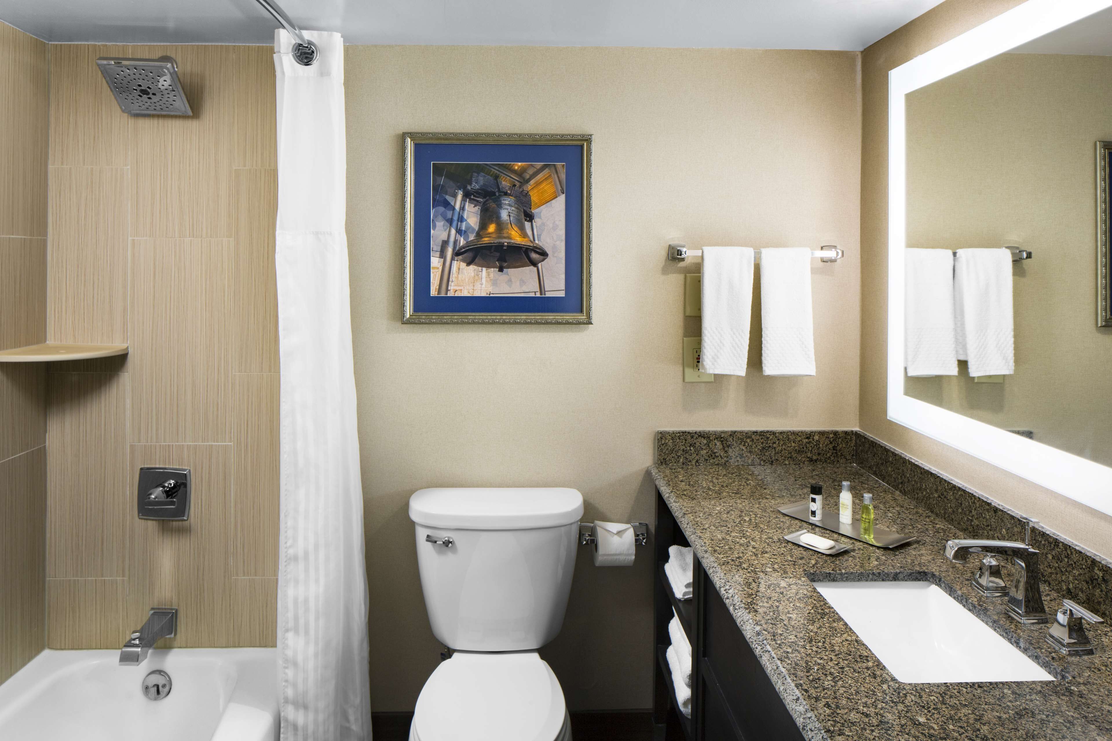 combined shower/bathtub, free toiletries, hair dryer, towels