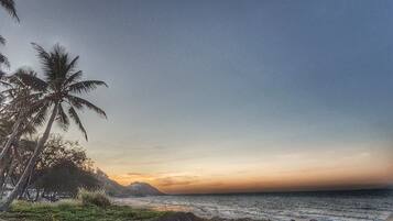 A beach with palm trees and a sunset.