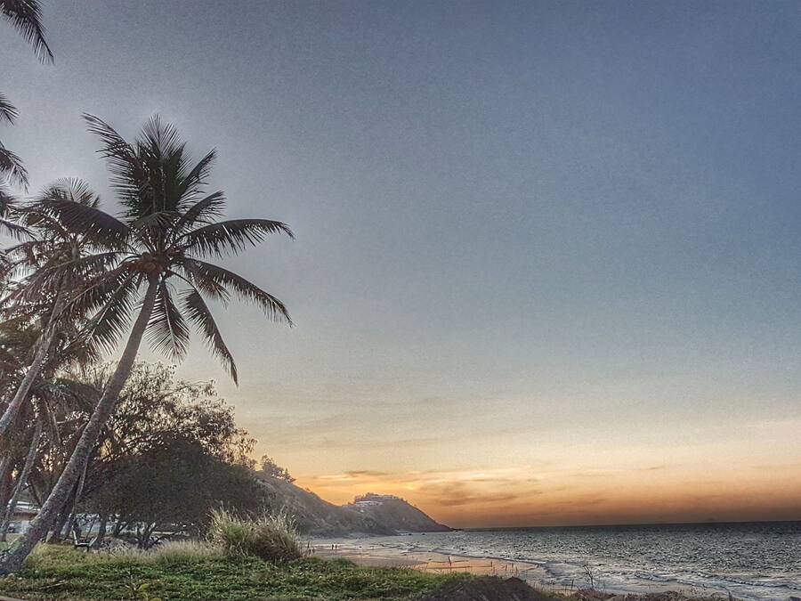 A beach with palm trees and a sunset.