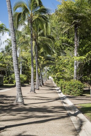 Garden - Comfort Resort Blue Pacific (Blacks Beach)