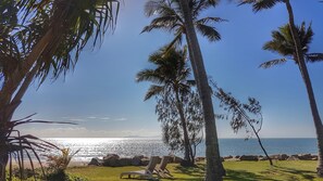 Una playa con palmeras, cielo despejado y el océano.