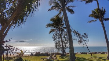 Una playa con palmeras, cielo despejado y el océano.