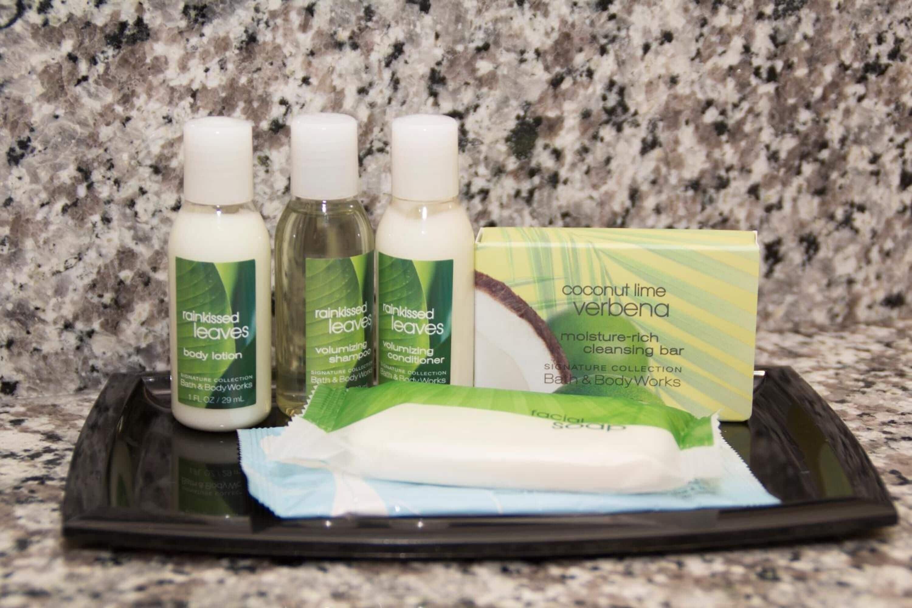 combined shower/bathtub, free toiletries, hair dryer, towels