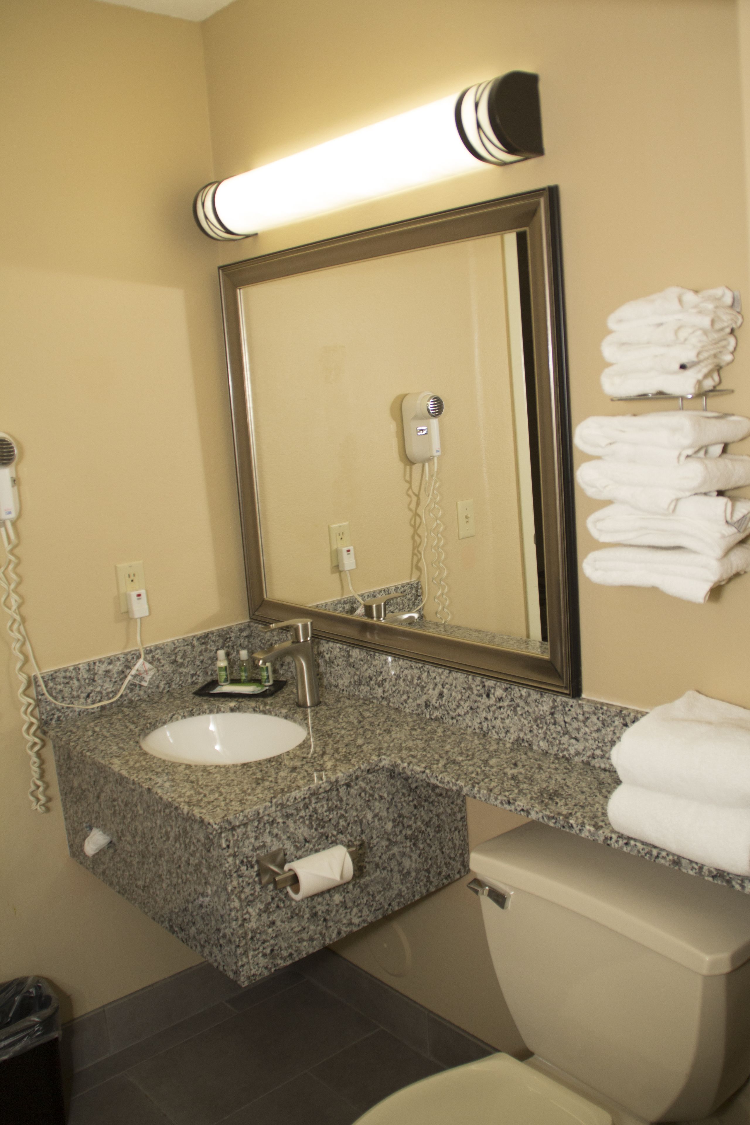 combined shower/bathtub, free toiletries, hair dryer, towels