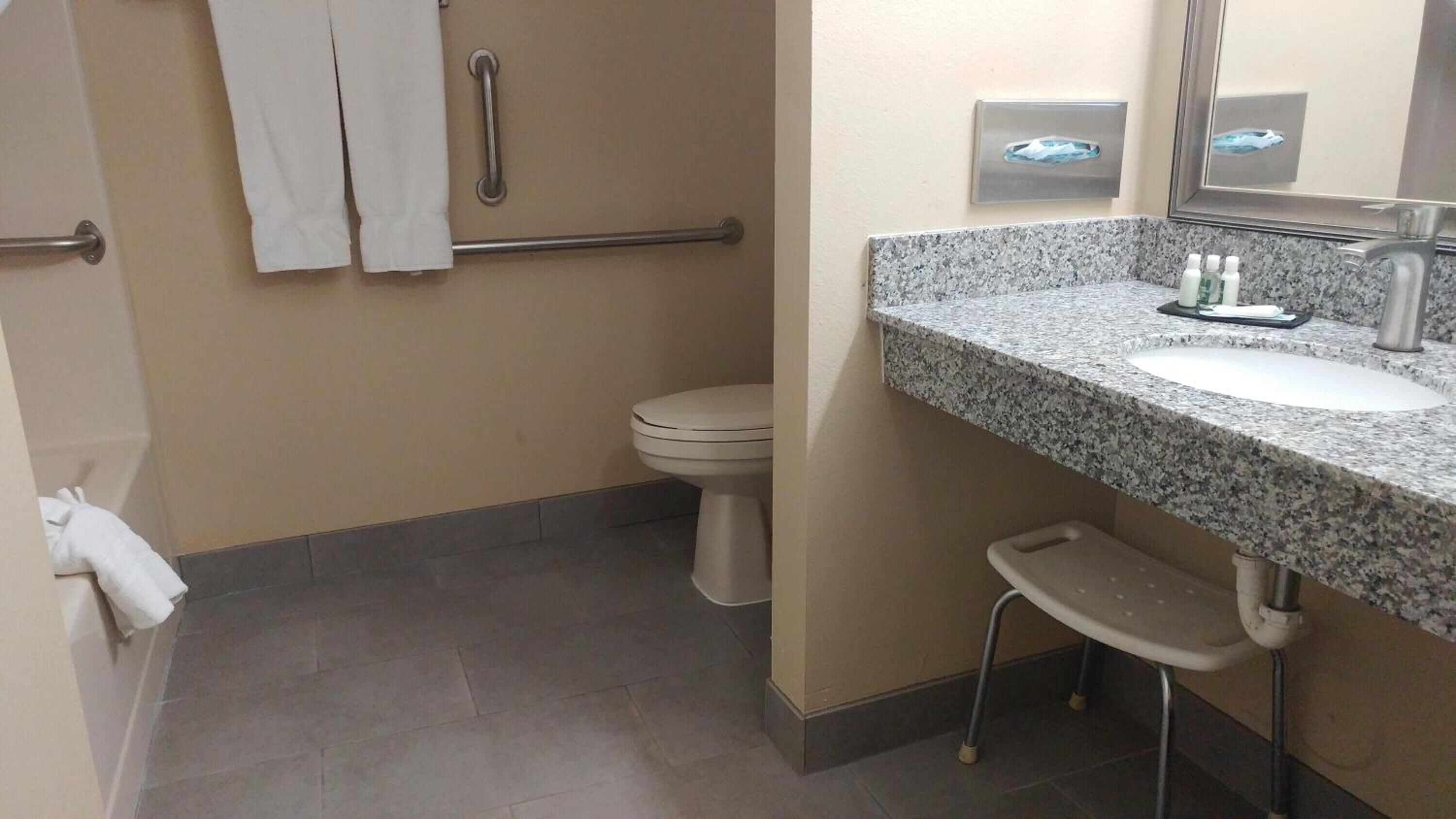 combined shower/bathtub, free toiletries, hair dryer, towels