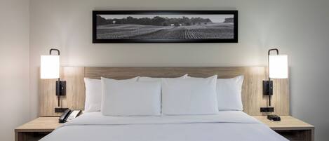 Una habitación de hotel con una cama grande, dos mesitas de noche, un cuadro colgado y lámparas de pared.