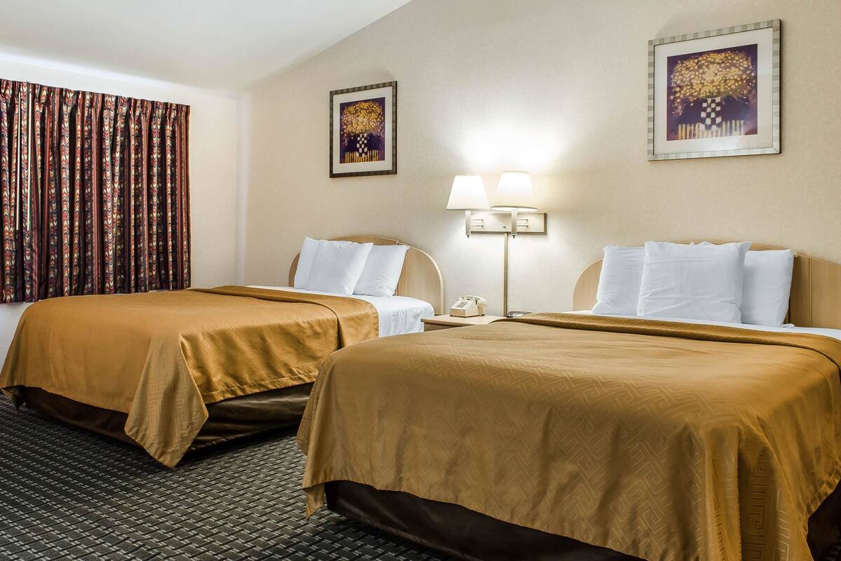 A hotel room with two beds, a patterned curtain, a lamp, and two wall-mounted paintings.