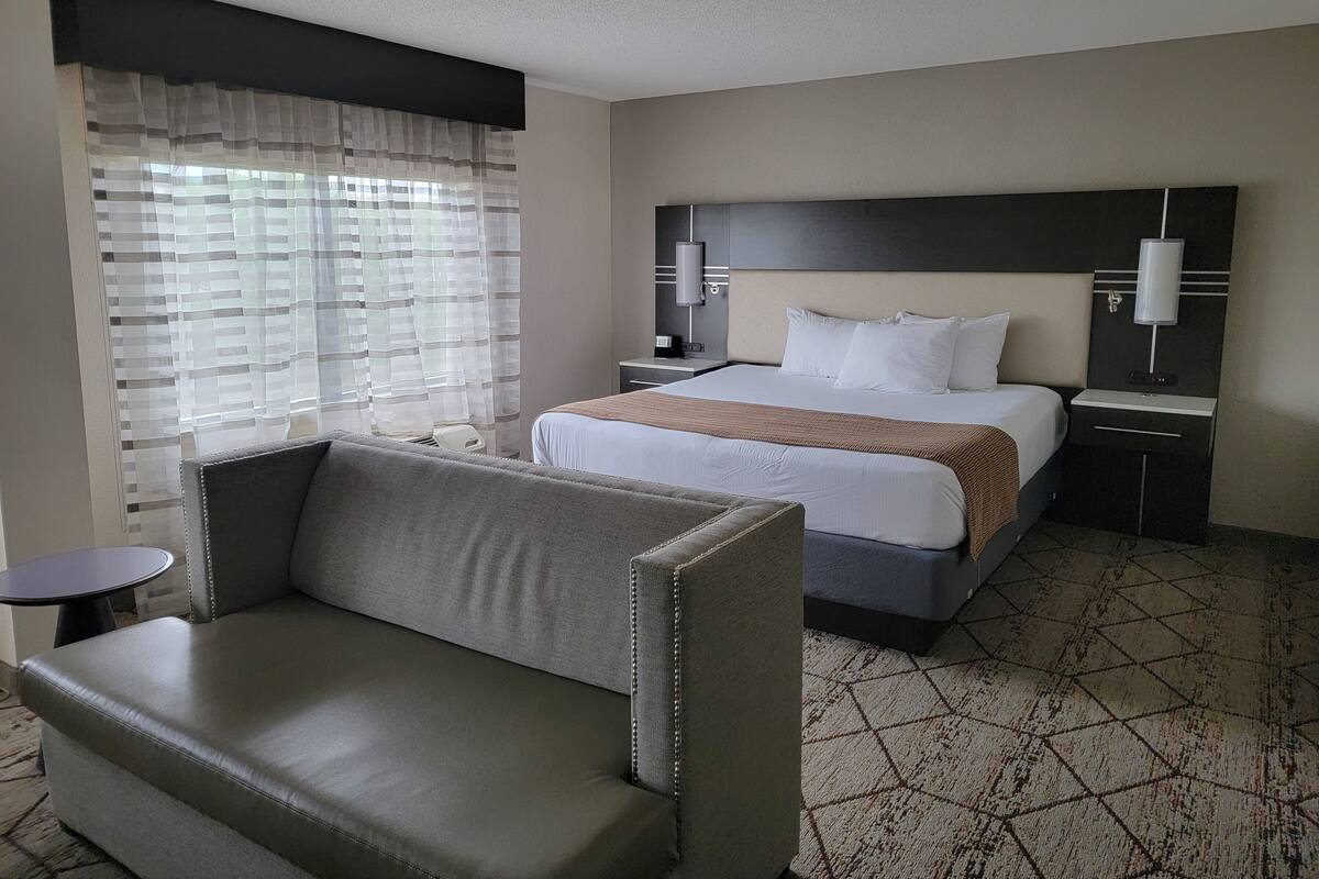 A hotel room with a bed, a sofa, a bedside table, a lamp, and a window with curtains.