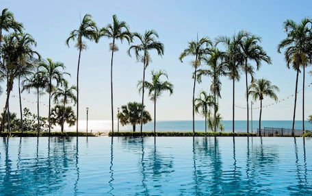 A poolside view with palm trees and a clear sky.