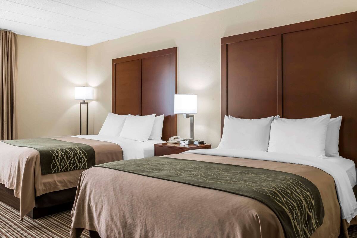 Habitación de hotel con dos camas, cada una con cabecera, mesitas de noche con lámparas y una alfombra a rayas.